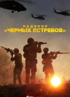 Падение «Черных ястребов»